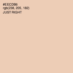#EECDB6 - Just Right Color Image